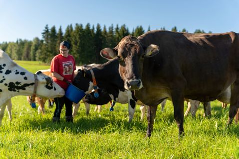 RUOANTURVAAJAT TUOTTAVAT RUOKAA KOKO SUOMELLE